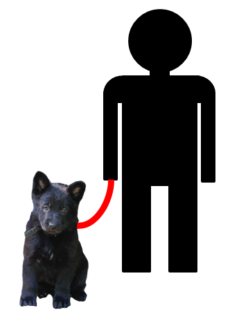 Zielgruppe Hundebesitzer